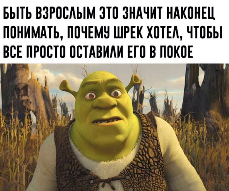 Shrek Forever after