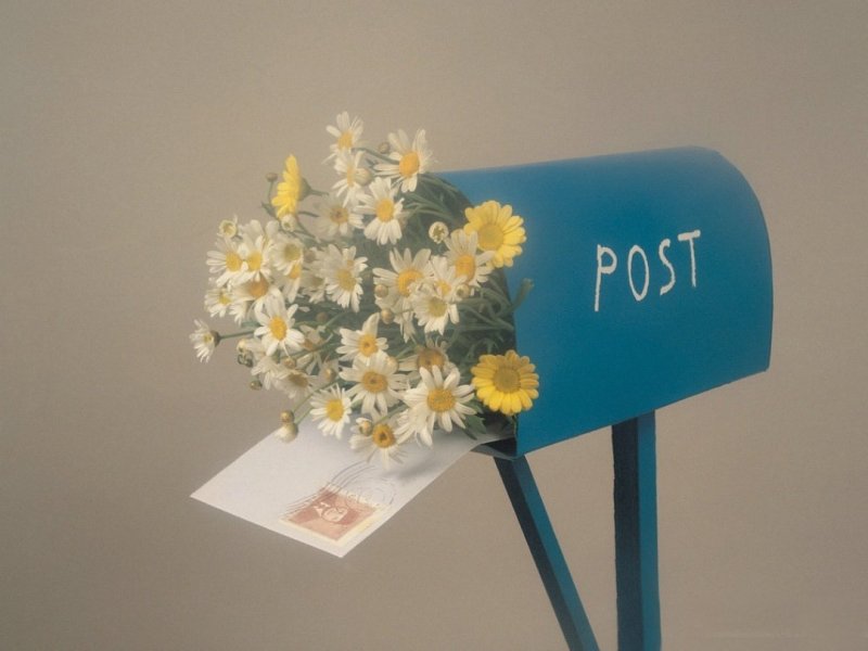 Цветы в почтовом ящике