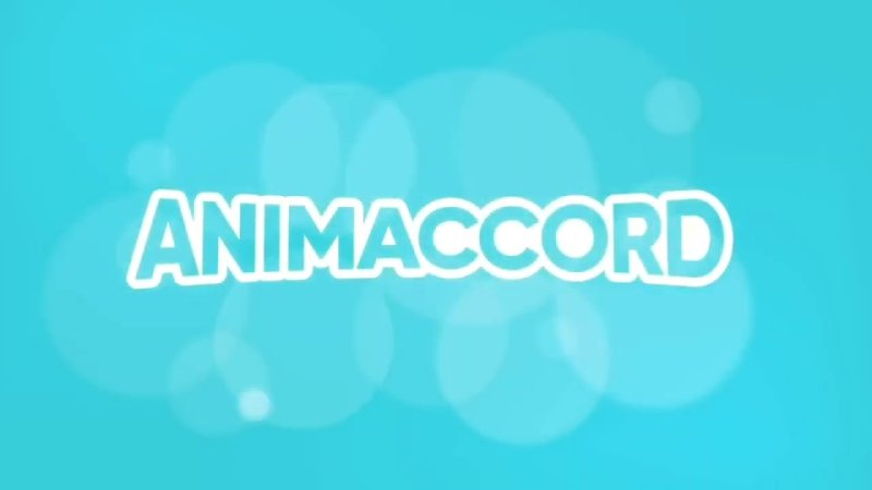 Animaccord логотип