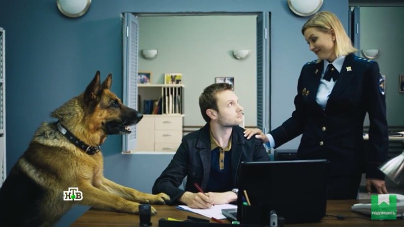 Мухтар новый след Катя