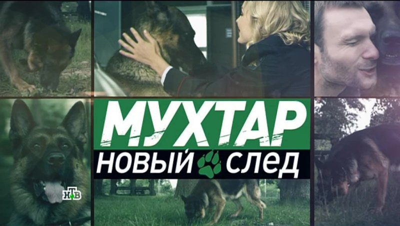 Мухтар новый след Максим Жаров