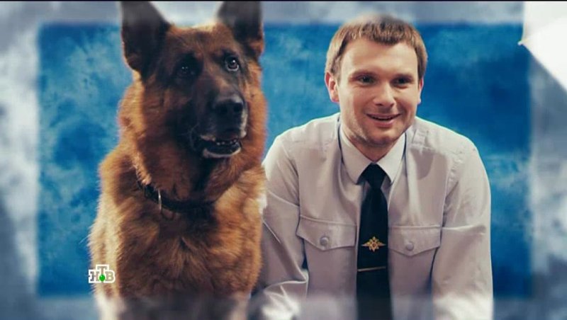 Мухтар новый след Максим