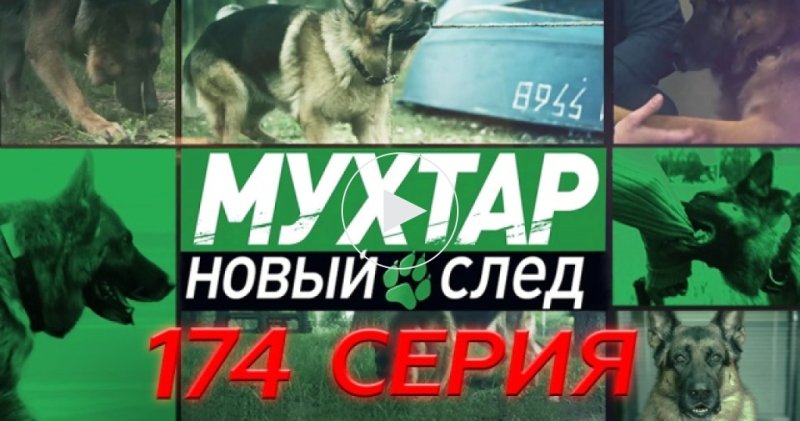 Возвращение Мухтара 2 Мухтар новый след