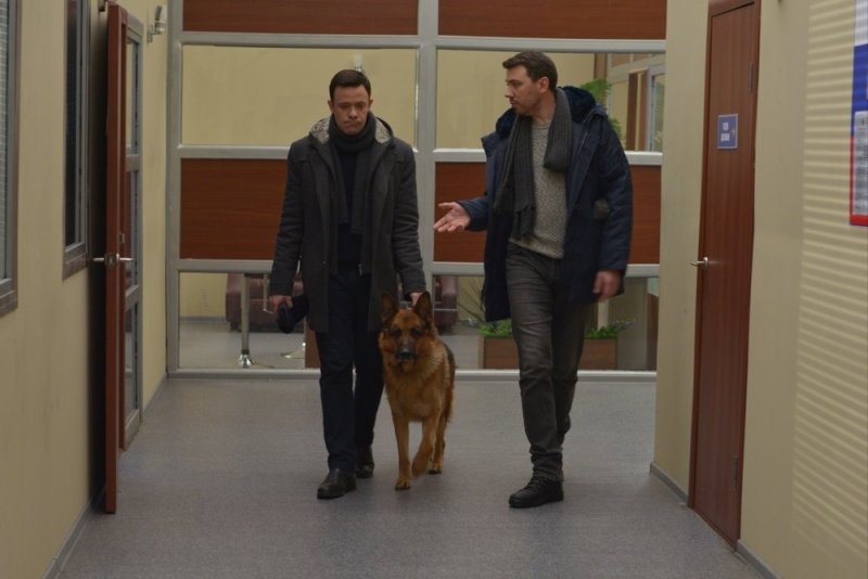 Новый след Мухтар 91