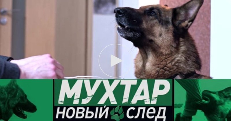 Мухтар 1 сезон