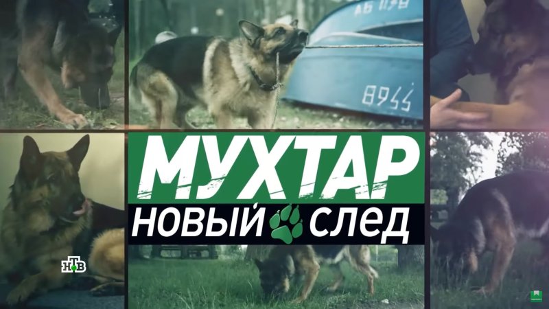 Мухтар новый след братья меньшие