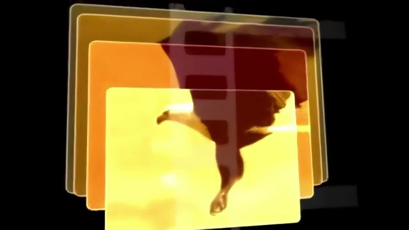 Кинокомпания КИНОМОСТ