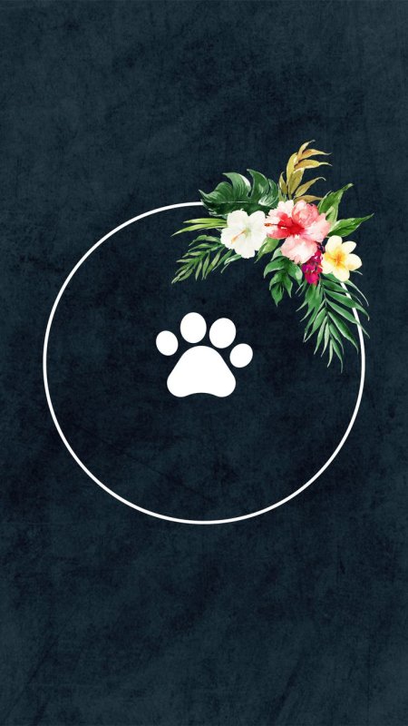 Актуальные Инстаграм обложки для сторис