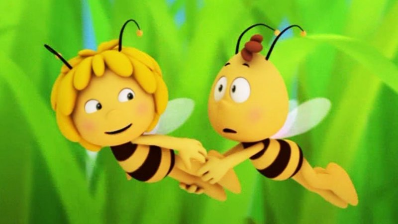 Пчела Майя и Вилли