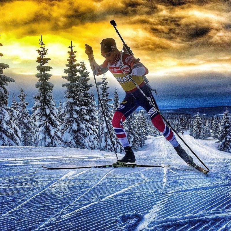 Биатлон картинки