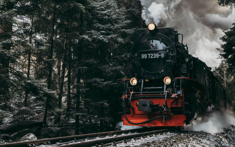 Поезд в лесу