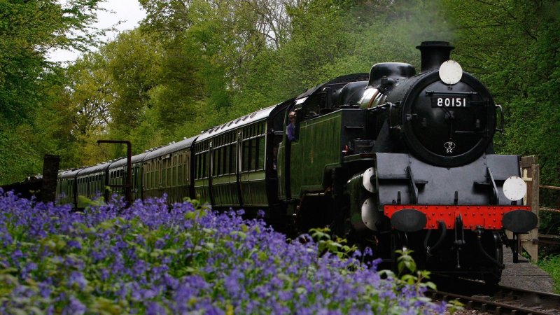 Красивый поезд