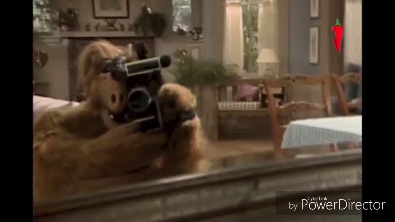 Альф 1 сезон 2 серия