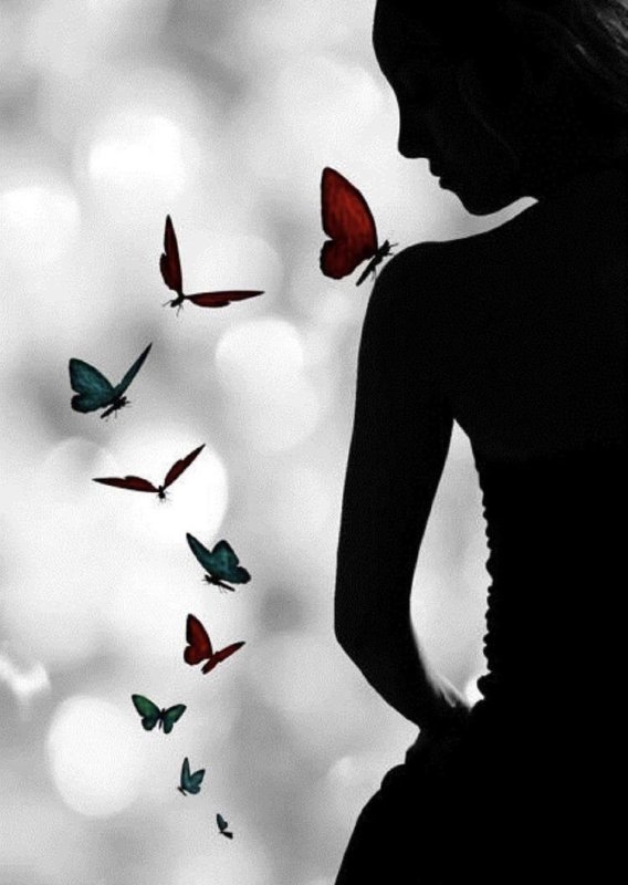Силуэт девушки с бабочками