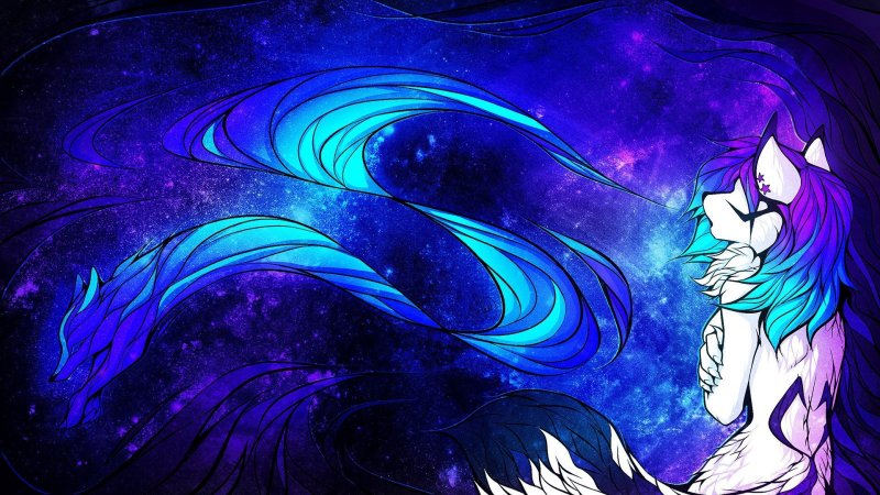 Обои на рабочий стол фурри