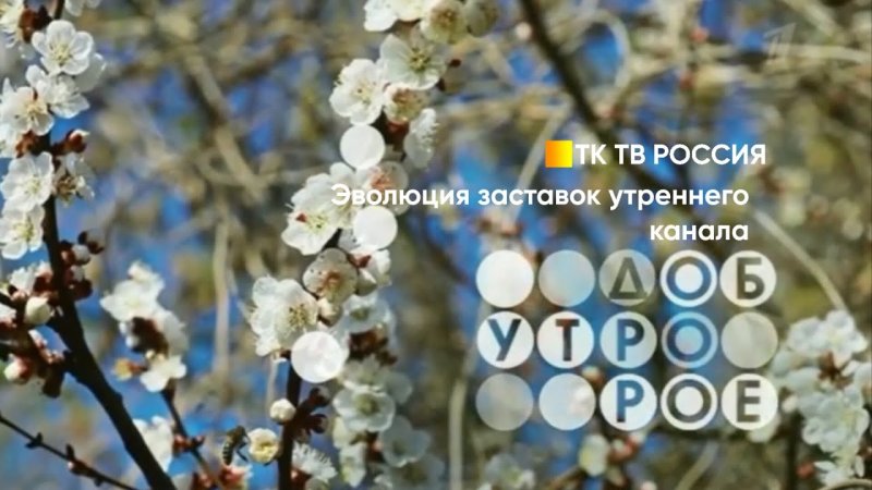 Канал доброе утро