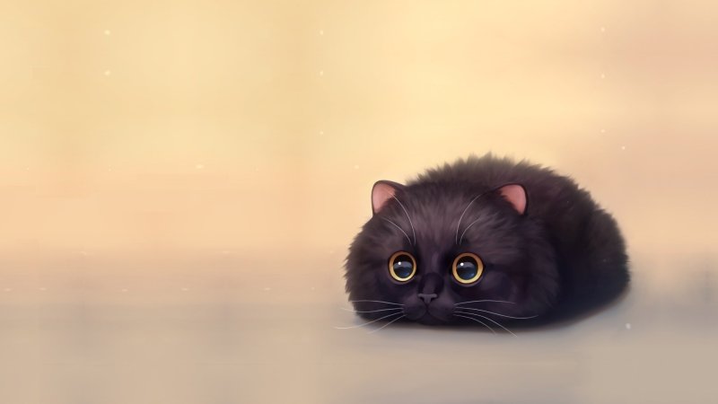 Картинки на рабочий стол милые