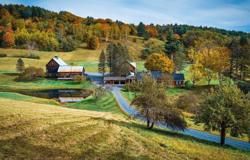 Деревенская природа