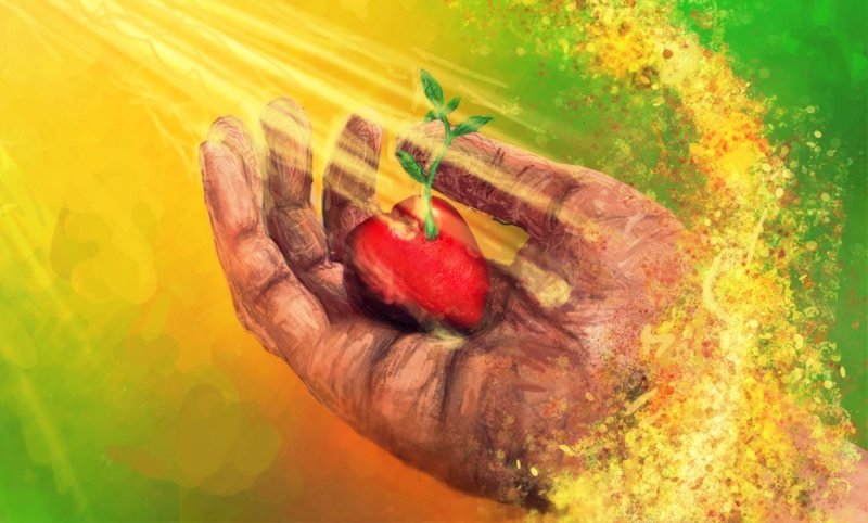 Добро и доброта