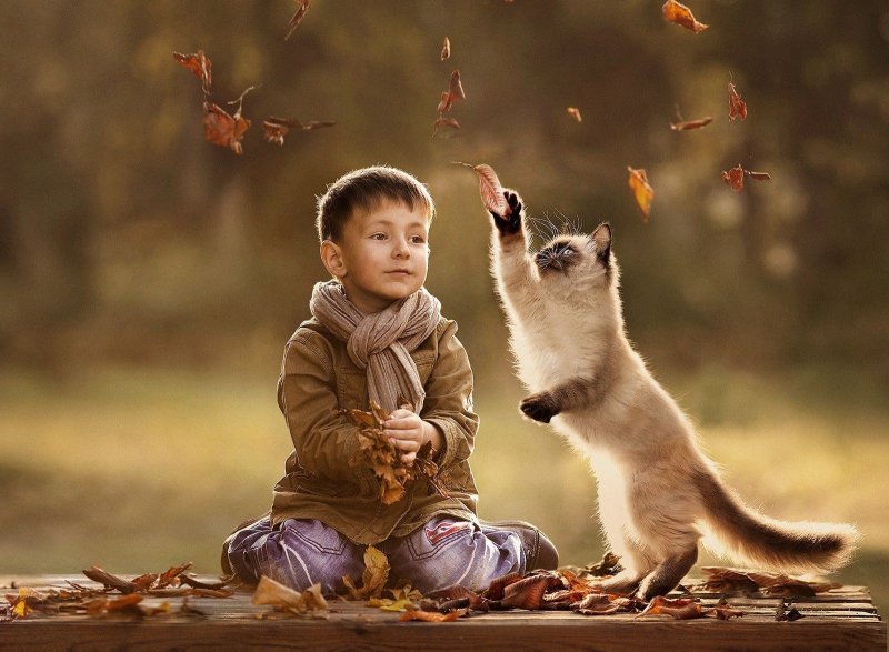 Дети с животными