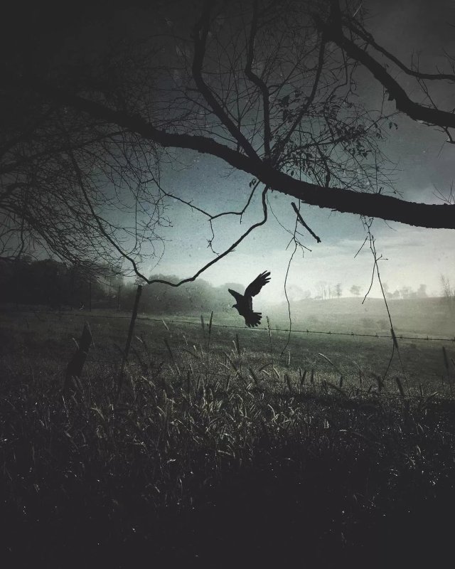 Одиночество природа