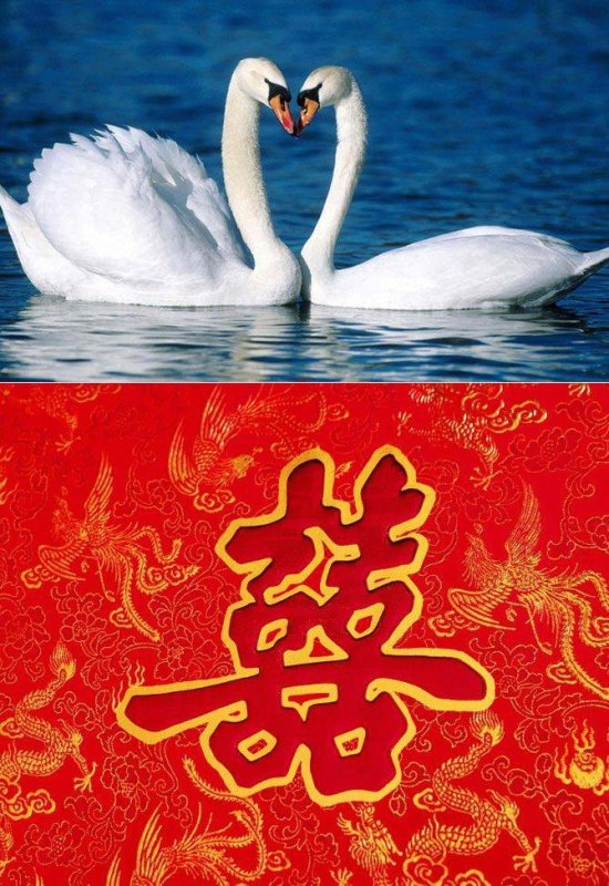 Картина для привлечения любви