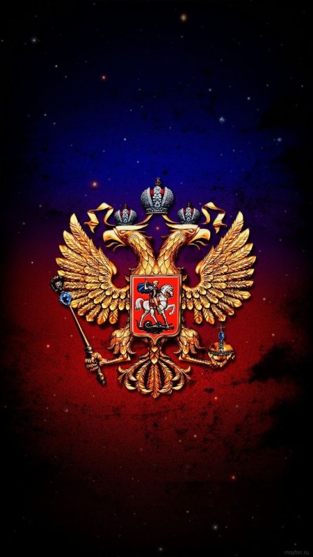 Верба в России