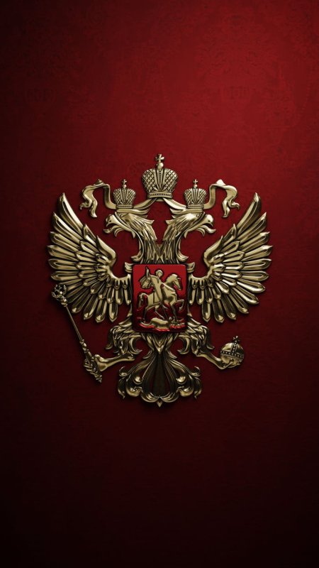 Верба в России