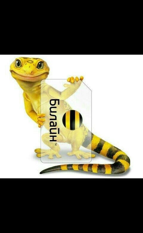 Билайн картинки