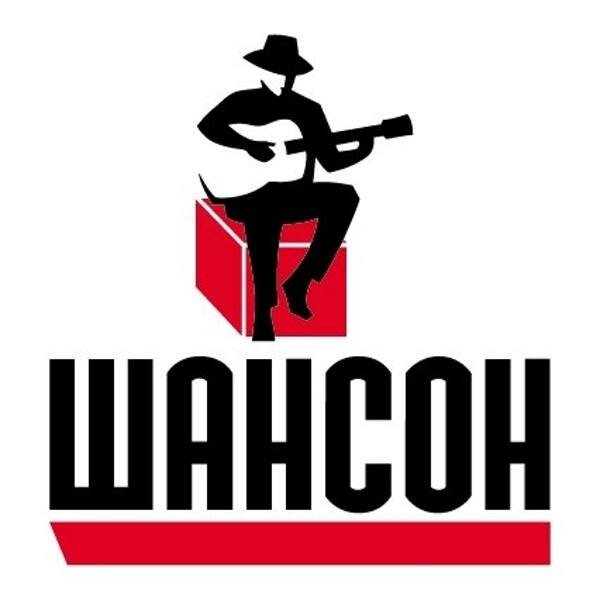 Русский шансон логотип