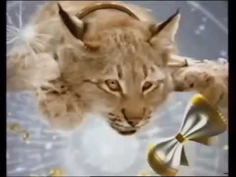 Межпрограммные заставки