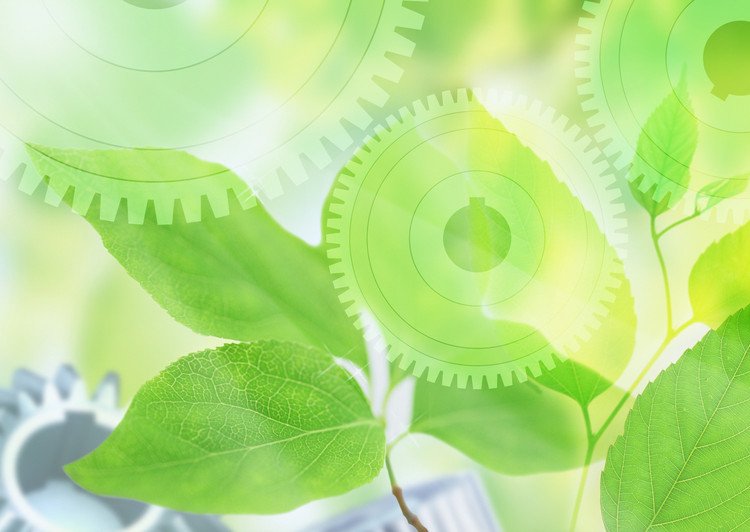 Фон для презентации по биологии