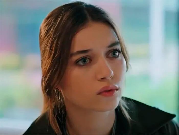 Зимородок турецкий сериал