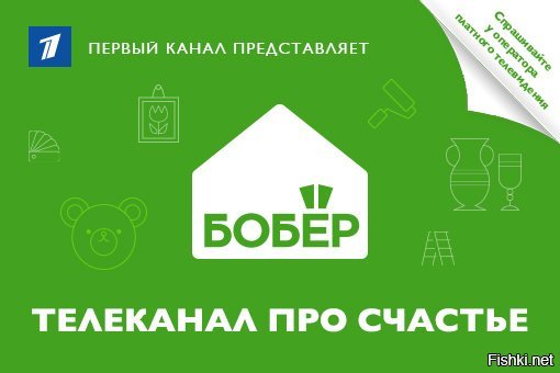Канал бобёр ТВ