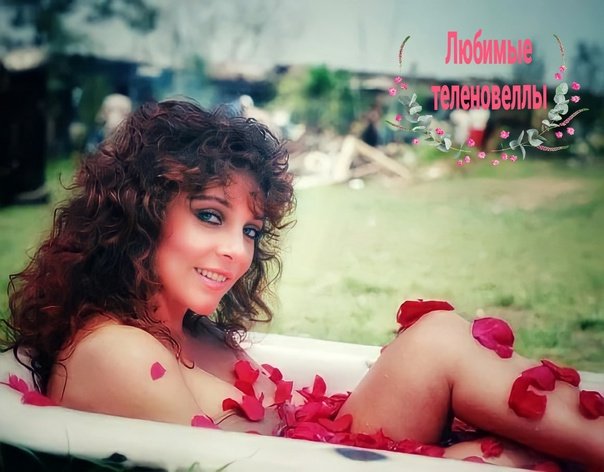 Вероника Кастро Дикая роза