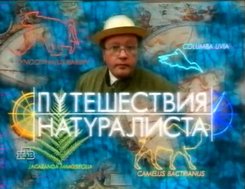 Павел любимцев путешествия натуралиста