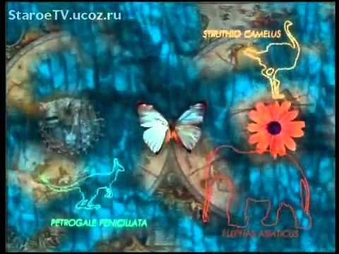 Путешествие натуралиста