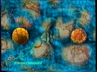 Путешествие натуралиста заставка