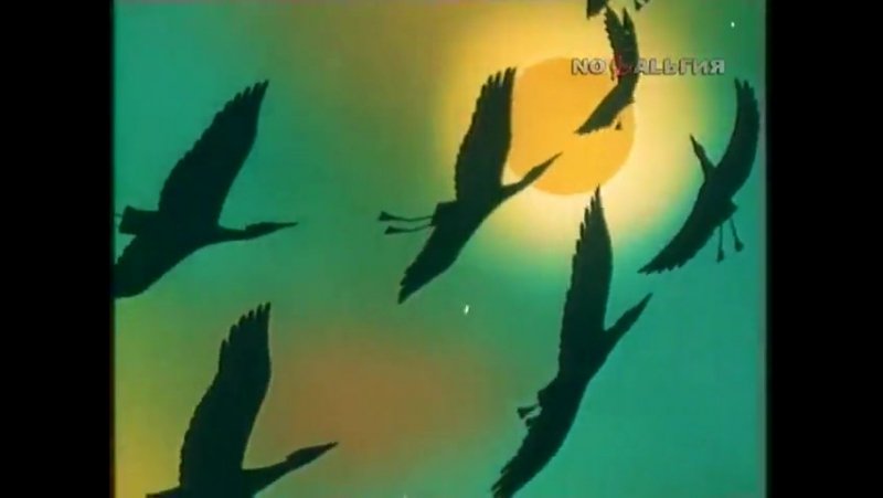 Советская телепередача в мире животных