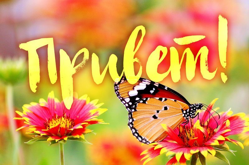 Приветствие картинки красивые