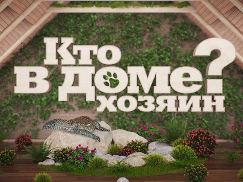 Кто в доме хозяин заставка