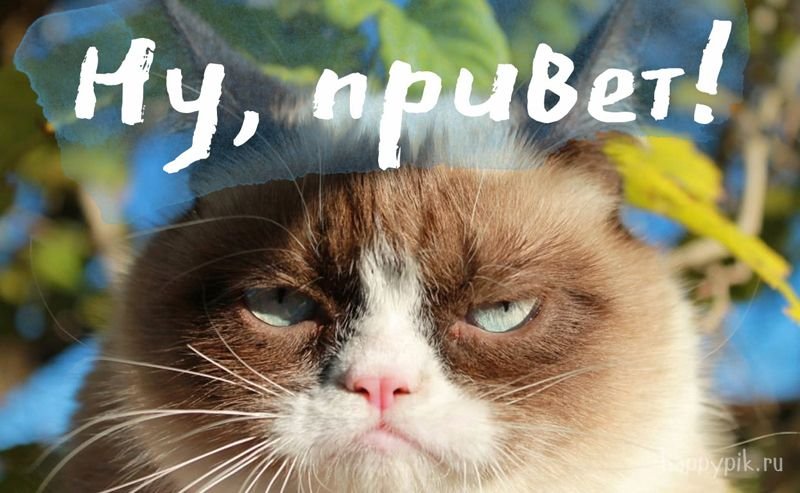 Привет картинки прикольные