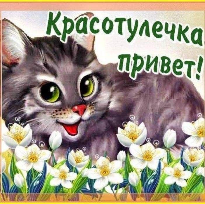 Открытки привет прикольные