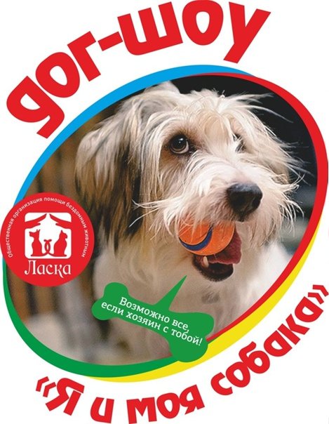 Дог шоу я и моя собака