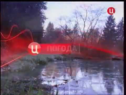 Прогноз погоды ТВЦ