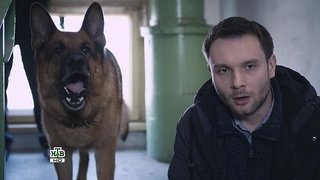 Владимир Фекленко Мухтар новый след