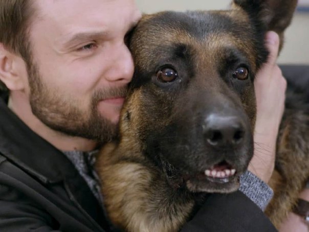 Мухтар новый след Максим