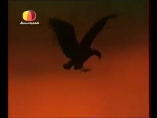 КИНОМОСТ заставка