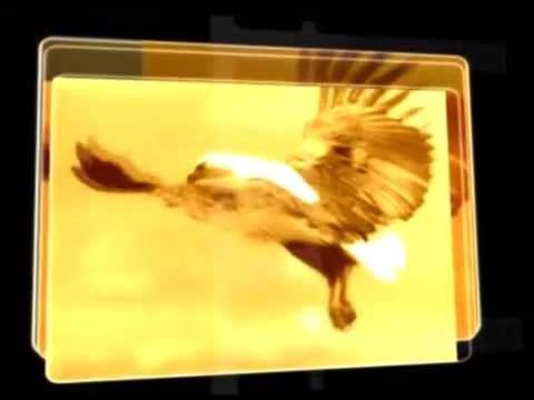 КИНОМОСТ заставка