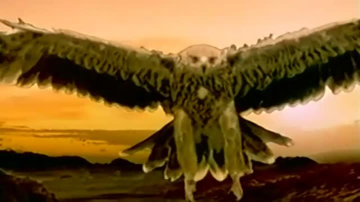 КИНОМОСТ заставка